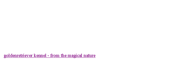 Tekstvak: goldenretriever kennel - from the magical nature